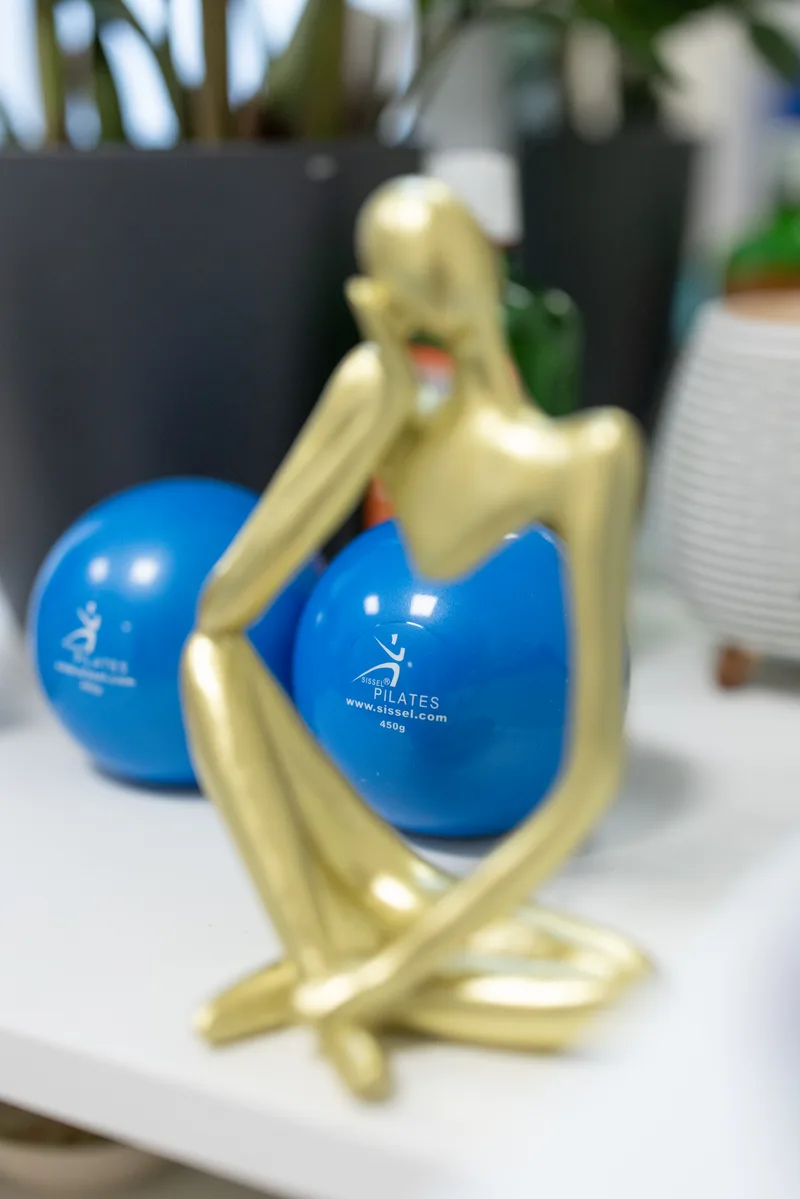 Wellness group class